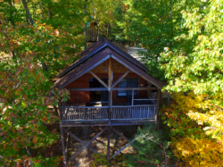 Treehouse Cabins