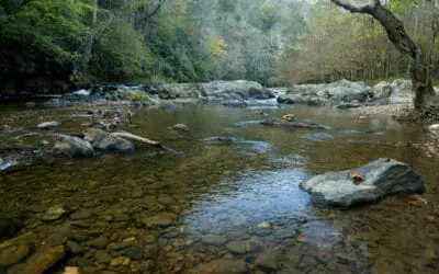 The French Broad River