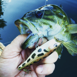 French Broad River Small Mouth Bass Fishing