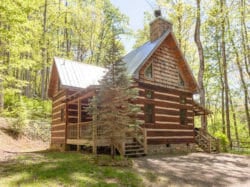 Bear Creek Cabins