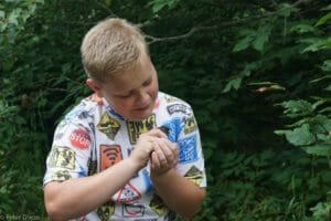 Boy enjoying a bird before releasing it