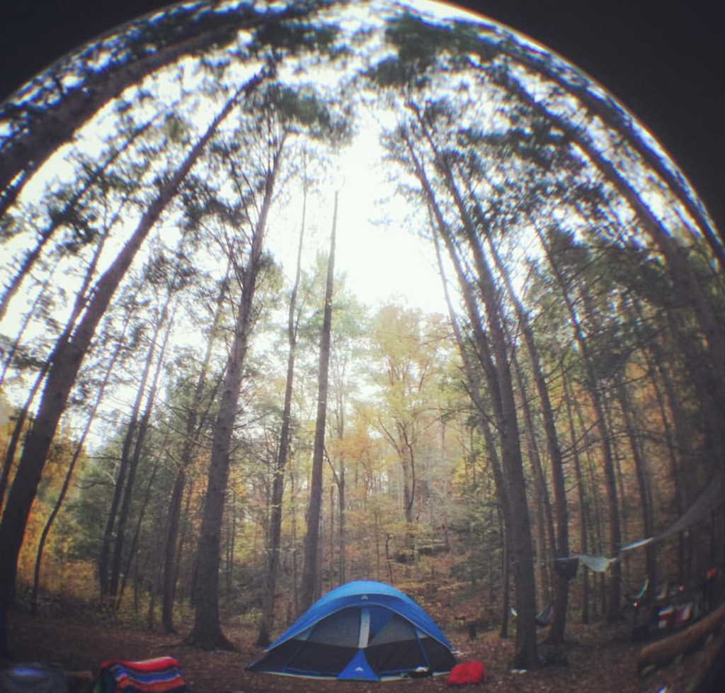 Pisgah National Forest - Hot Springs NC Travel & Visitor Information