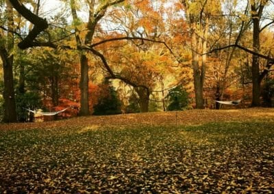 Fall Leaves in Hot Springs NC