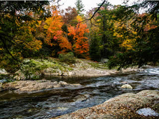 Fall Color in Hot Springs