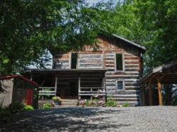 Fern Rock Cabins