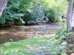 Creek Life Cottages
