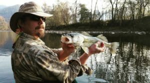 A Walleye caught on the French Broad River in Hot Springs North Carolina