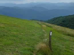 Max Patch