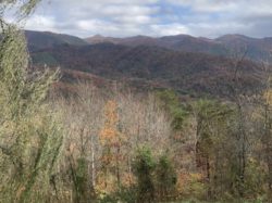 Mountainside Cabins
