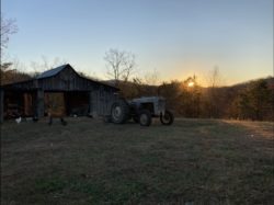 Mountainside Cabins
