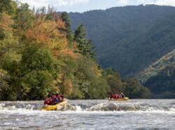 Nantahala Outdoor Center – French Broad Outpost