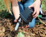 a girl planting a start