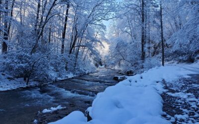 4 Activities to Enjoy Around Hot Springs, NC This Winter