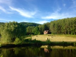 Broadwing Farm Cabins