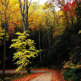 Dirt Road Above Hot Springs